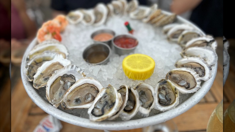 oysters on ice