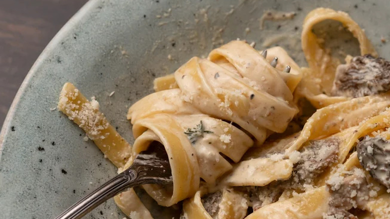 Forkful of pasta with creamy mushroom sauce