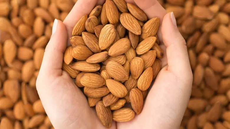 handful of Aldrich almonds