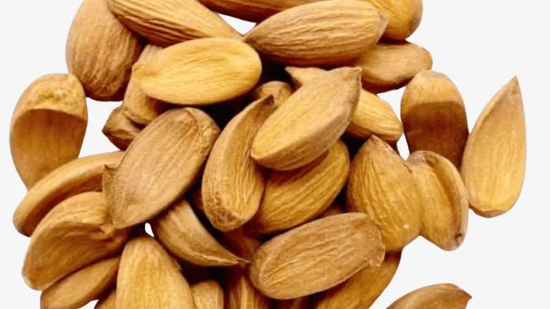 Kashmiri Mamra almonds