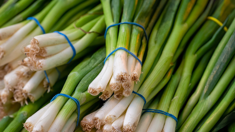 Bunches of green onions