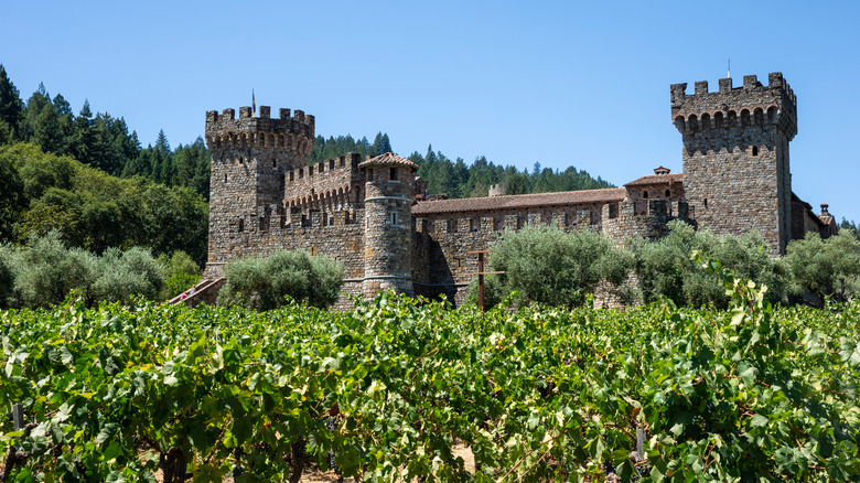 Castello di Amorosa Vineyard