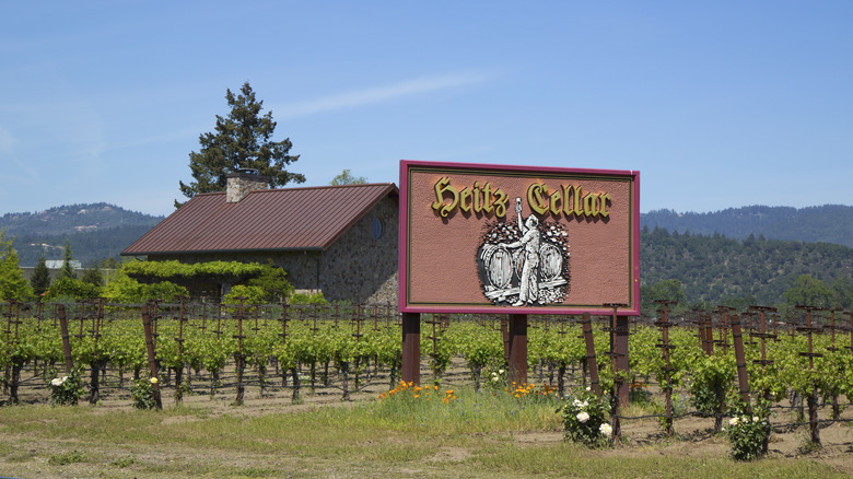 Heitz Cellar vineyard with grape trees