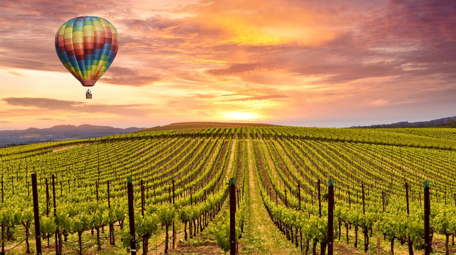 Learn about Napa Valley - California's Famous Wine Region