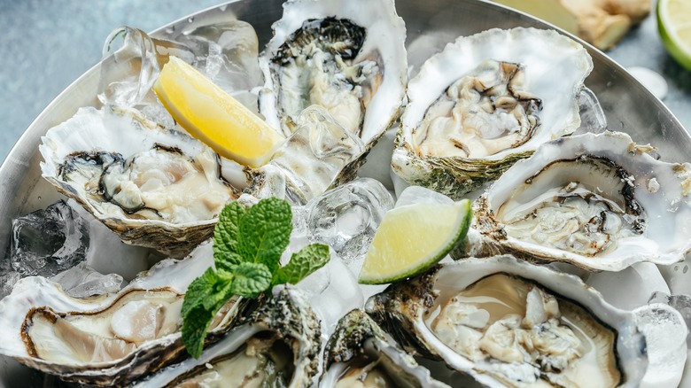 Oysters on the half shell