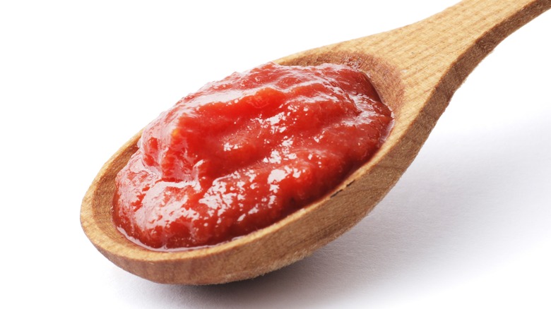 Tomato paste on spoon