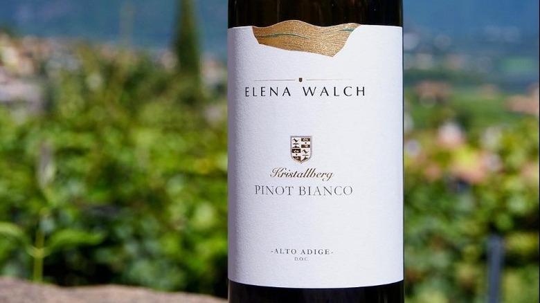 Elena Walch pinot bianco