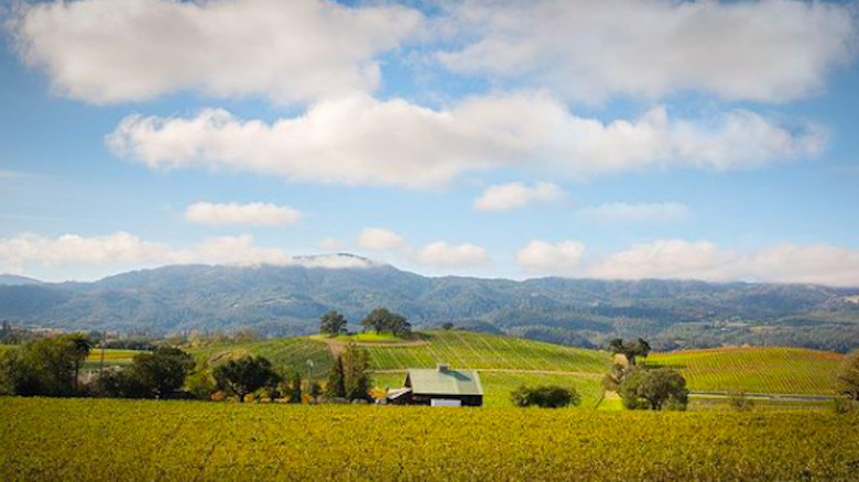 Blue sky and rolling hills