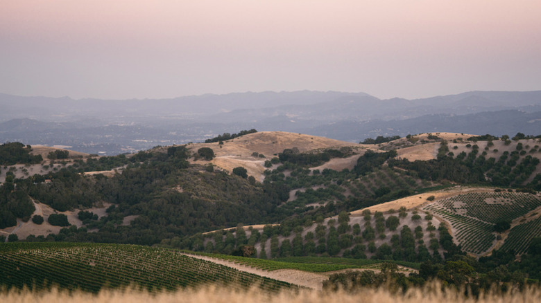 Foggy sky and hills