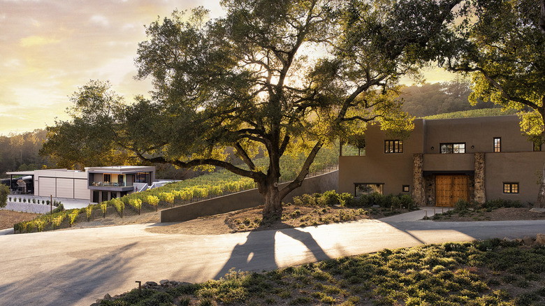 Sunset over vineyard and buildings