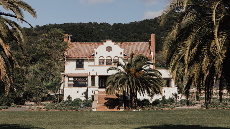 Palm trees and building