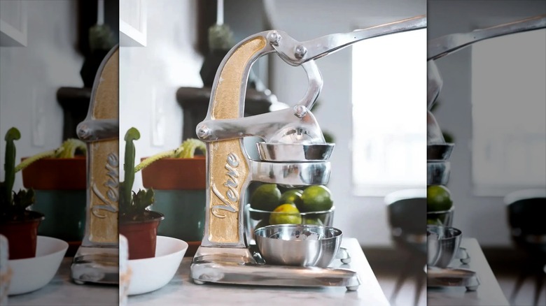 Verve Artisan Citrus Juicer on countertop with plants nearby