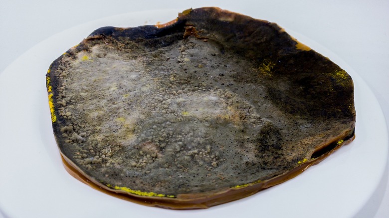 Moldy SCOBY