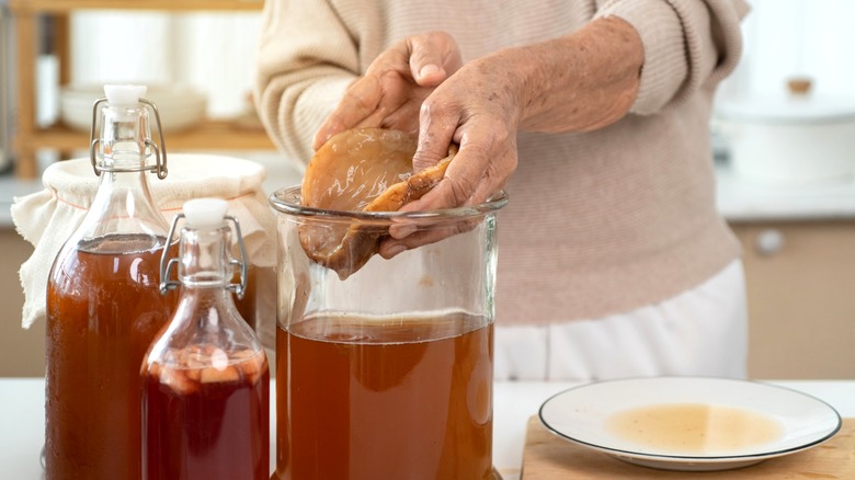 Hands holding SCOBY