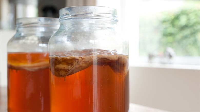 Kombucha jars on counter