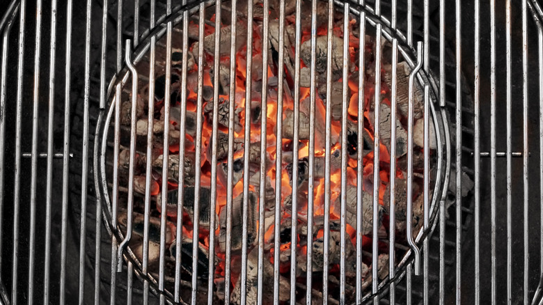 Grill pit with charcoal