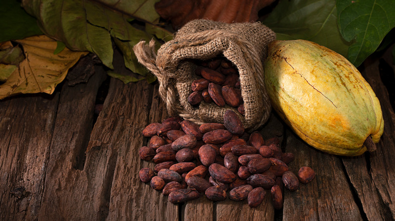 African cacao beans