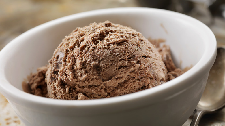 Bowl of chocolate ice cream