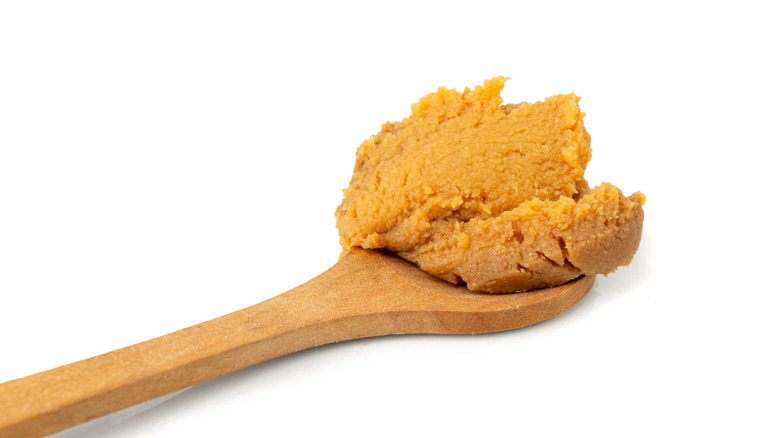 Miso paste on wooden spoon