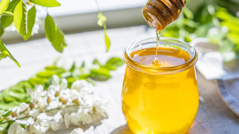 Honey and acacia flowers