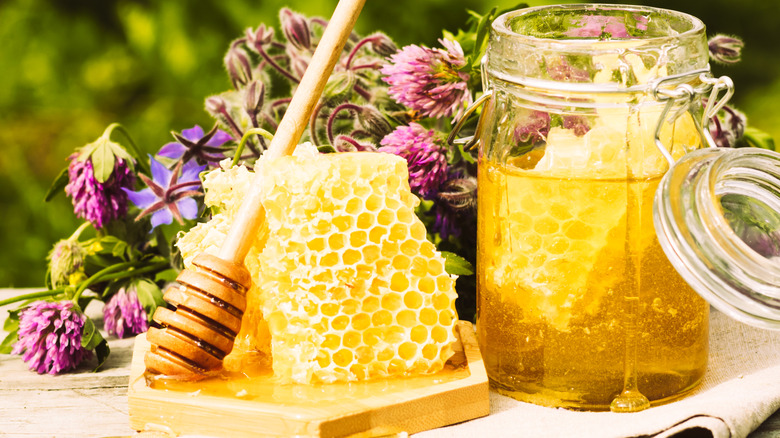 Honeycomb with clovers