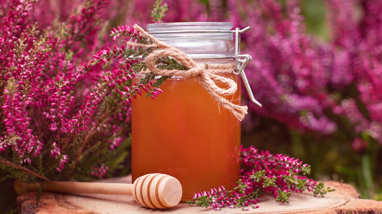 Honey among heather plants