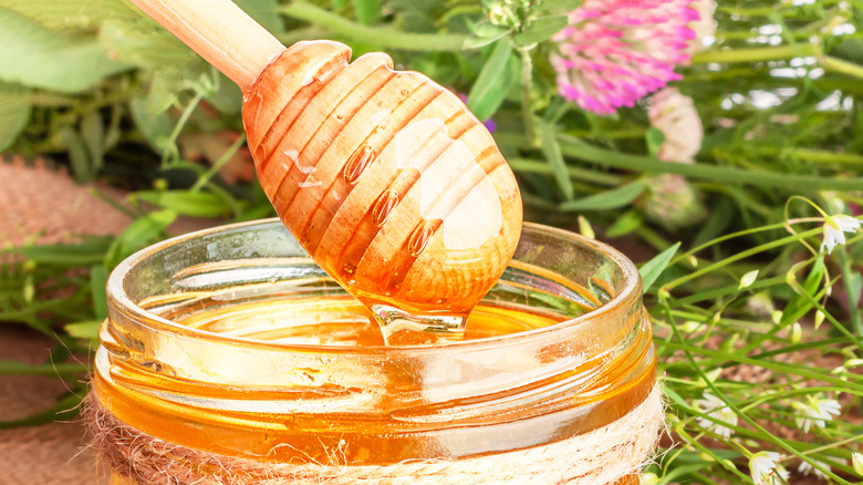 Wildflower Honeycomb Jar - Asheville Bee Charmer