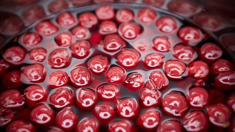 Amarena cherries in pot