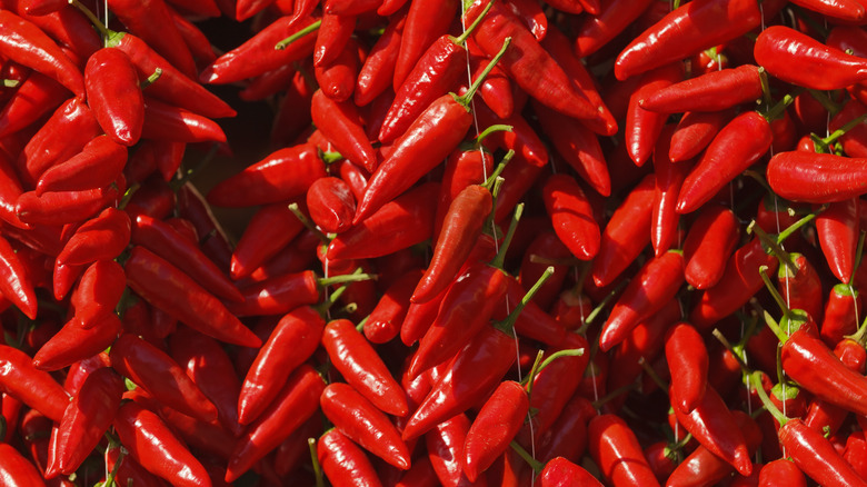 Calabrian chilis in store