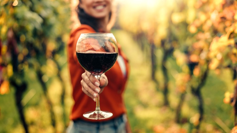 woman holding wine glass in orchard