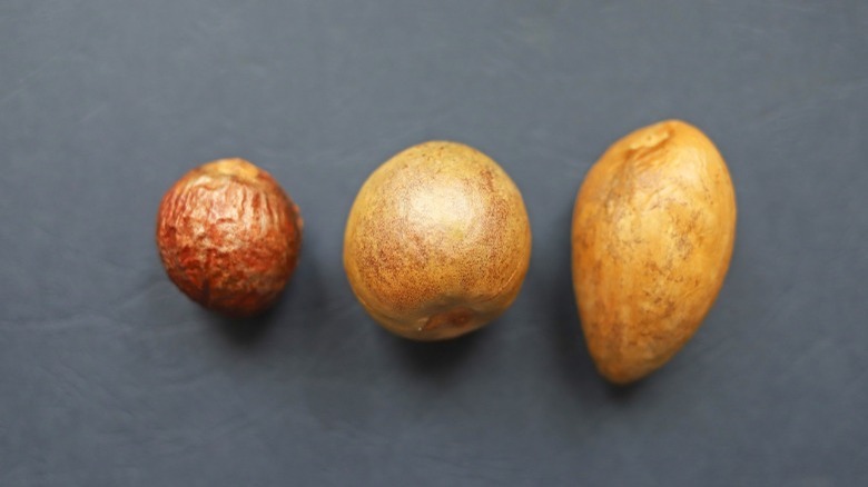 different avocado pits