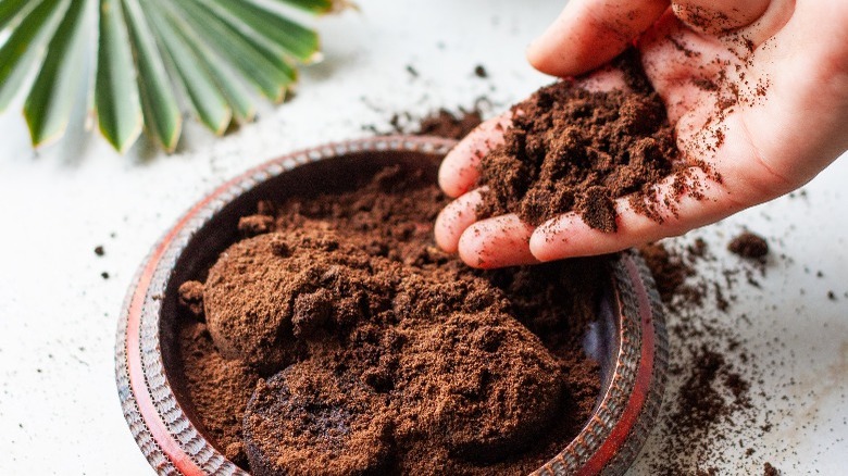 dried spent coffee grounds