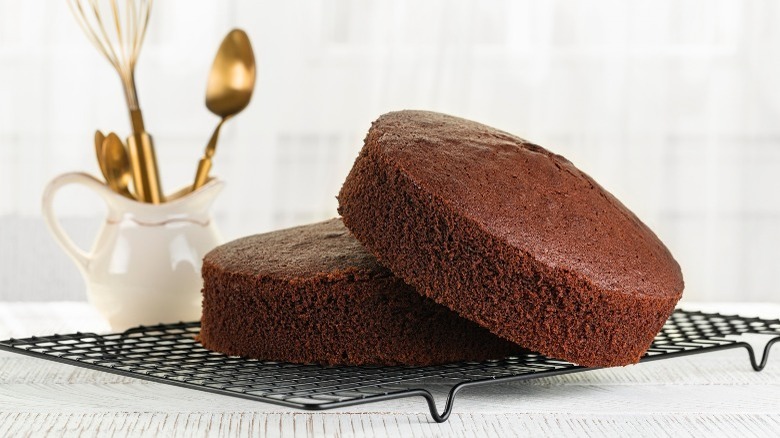 chocolate sponge cake layers