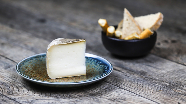 Chunk of Garrotxa on plate