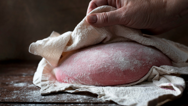 chef showing beetroot pizza dough