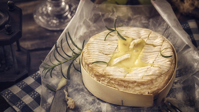 Camembert wheel and herbs on paper