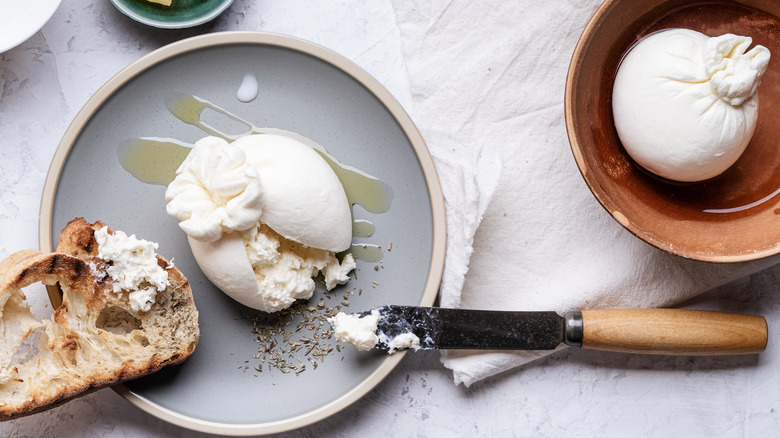 A plate of burrata cheese with bread