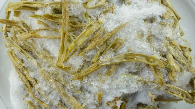 Closeup of freezer burned food