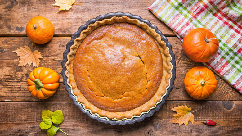 Pumpkin pie is encircled by mini pumpkins.