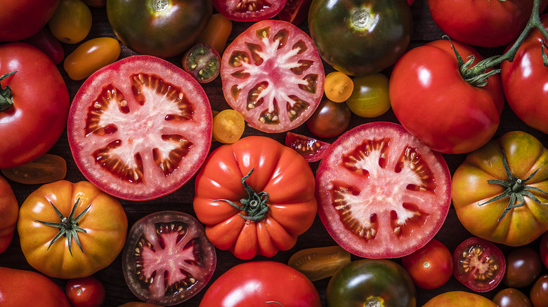 multicolored tomatoes 