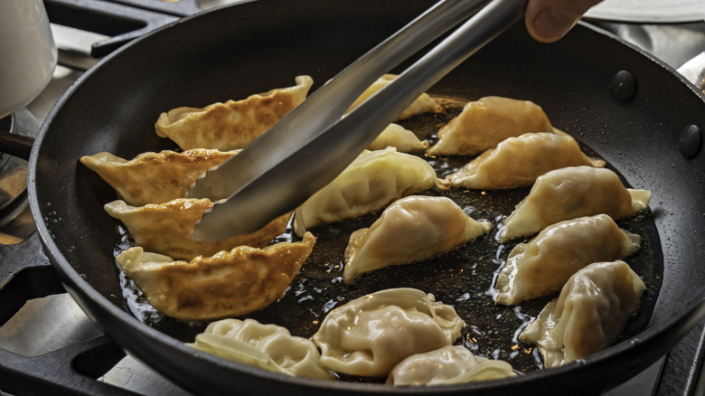 Frying Japanese gyoza in pan