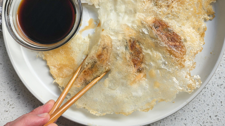 Hanetsuki gyoza with wings