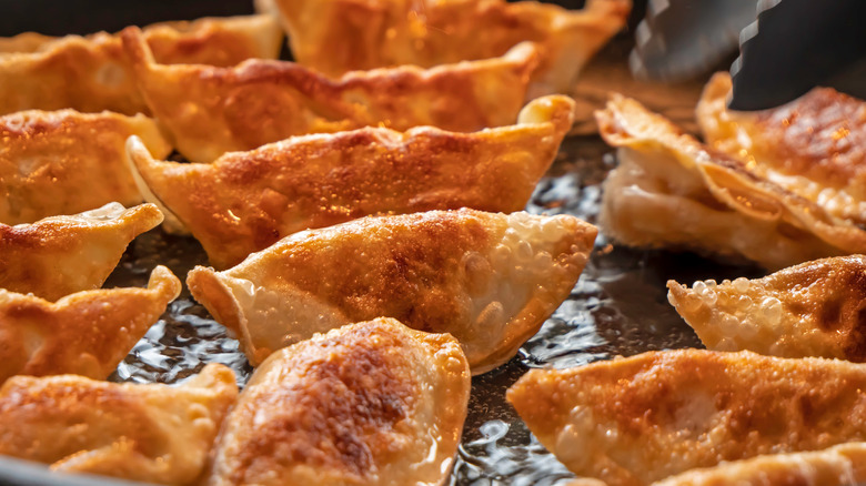 Gyoza in a frying pan