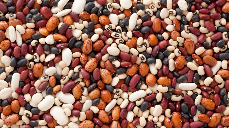 Various types of dried beans
