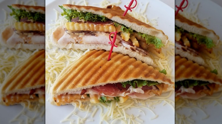 A panini sandwich with french fries