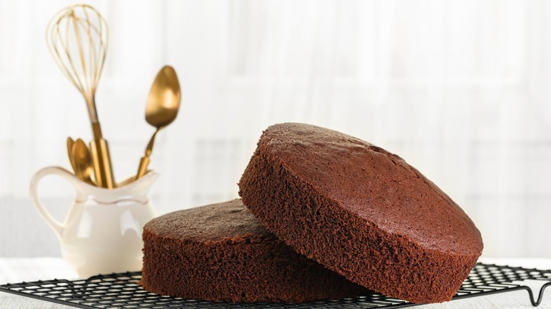 Chocolate sponge cake on table