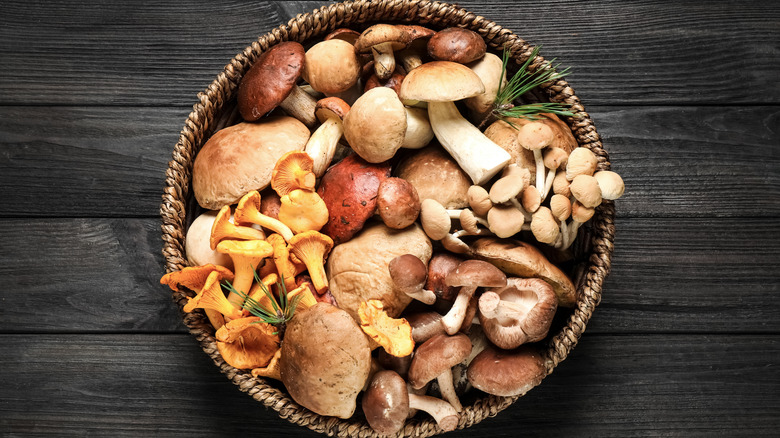 Basket of wild mushrooms