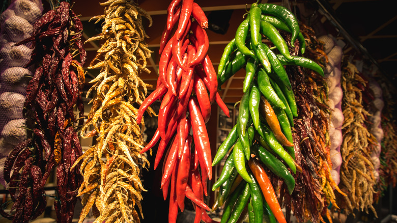 Fresh and dried chiles