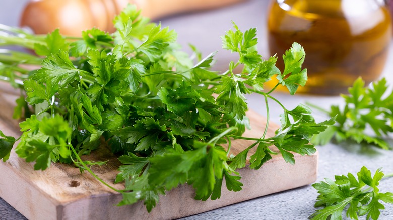 A fresh parsley bunch