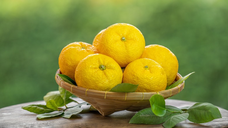 Yuzu fruits in a bowl